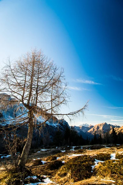 Día de invierno en los Alpes italianos —  Fotos de Stock