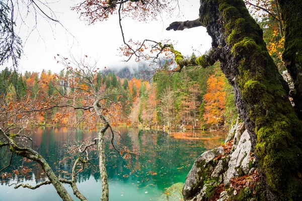 Mañana de otoño en los Alpes — Foto de Stock