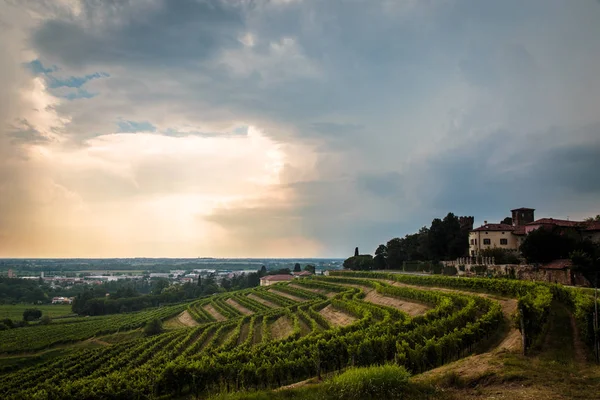 Vihar felett vineyard — Stock Fotó