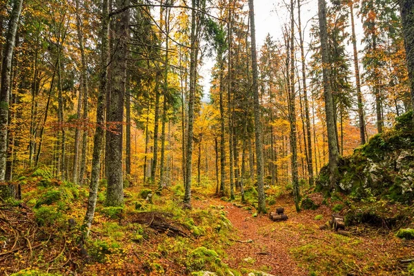 Mañana de otoño en los Alpes — Foto de Stock