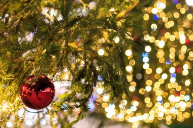 Noel top Trieste Meydanı