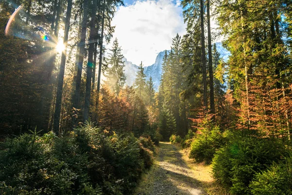 Percorso trekking in una giornata autunnale sulle Alpi — Foto Stock