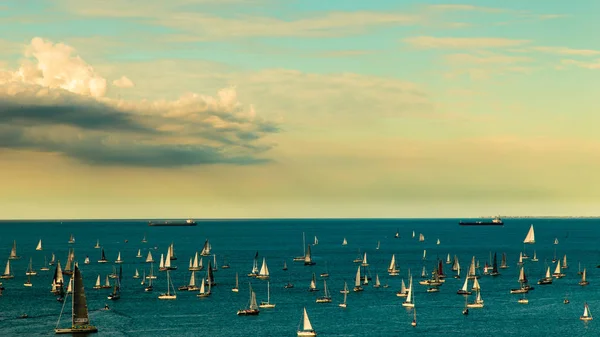 La regata de Barcolana en el golfo de Trieste —  Fotos de Stock