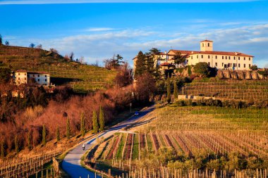 Rosazzo üzüm bağları gün batımı