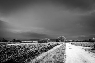 Bağ üzerinde fırtına