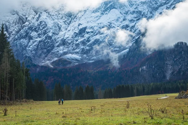 Mädchen beim Trekking im Wald — Stockfoto