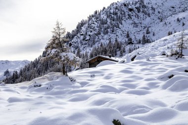 Alpine hut tarafından kar kaplı