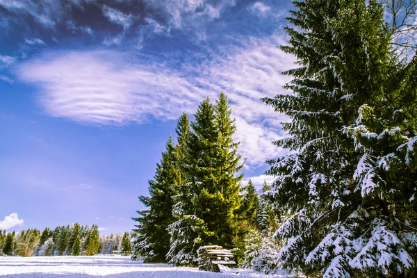 Première neige à la montagne — Photo