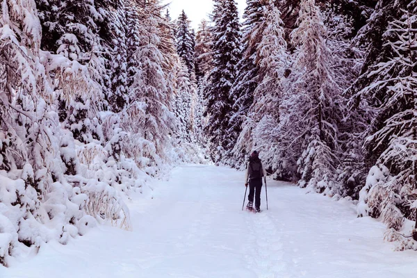 女の子が森の中スノーシューでトレッキング — ストック写真