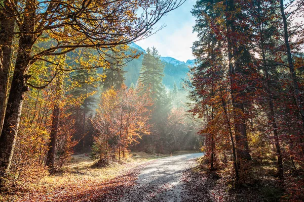 Caminho de trekking em um dia de outono nos alpes — Fotografia de Stock