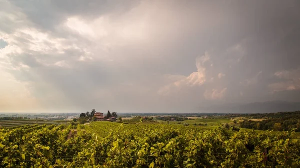 Burza nad winnicy — Zdjęcie stockowe