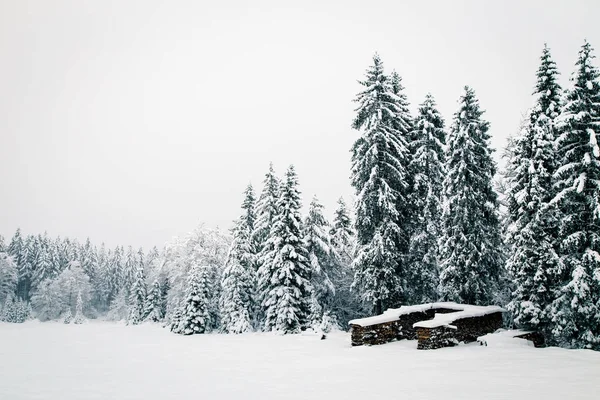 Snöfall i de italienska Alperna — Stockfoto