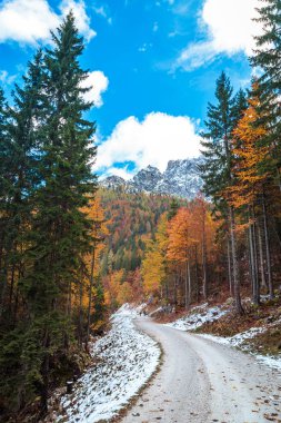 bir sonbahar günü yürüyüş yolunda Alpleri'nde