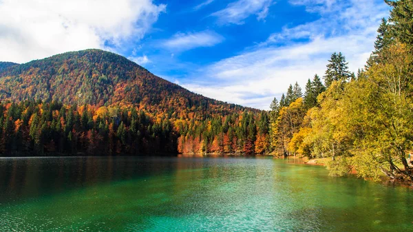 Autumn foliage at the alpine lake — Stock Photo, Image