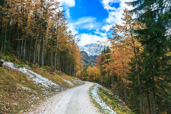Trekking path in an autumn day in the alps — Stock Photo, Image