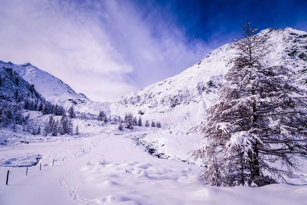 Sonniger Tag in den Alpen nach dem Schneefall — Stockfoto