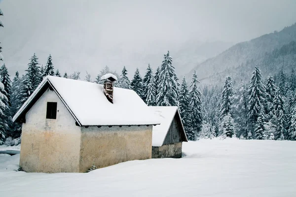 Nieve en los Alpes italianos — Foto de Stock