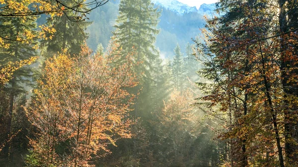 Trekking pad in een herfstdag in de Alpen — Stockfoto