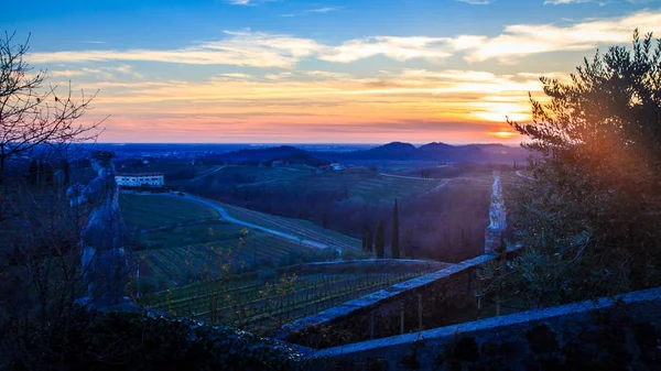 Puesta de sol en los viñedos de Rosazzo —  Fotos de Stock