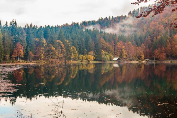 Herfst gebladerte in het alpine lake — Stockfoto