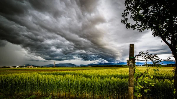Storma över fälten — Stockfoto