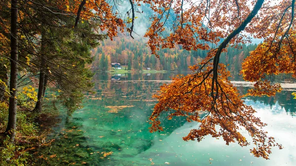 Folhagem de outono no lago alpino — Fotografia de Stock