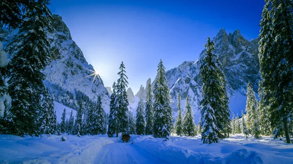 Sonniger morgen in val fiscalina — Stockfoto