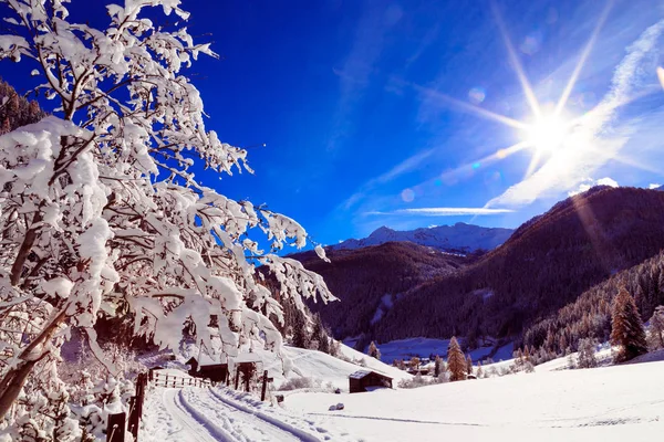 Солнечный день в Альпах после снегопада — стоковое фото