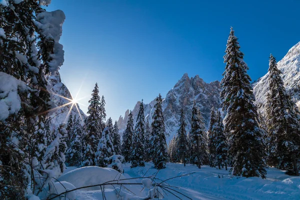 Sunny morning in Val Fiscalina — Stock Photo, Image