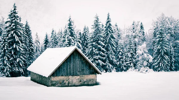 Sněžení v italských Alpách — Stock fotografie