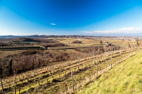Puesta de sol en los viñedos de Collio, Italia — Foto de Stock
