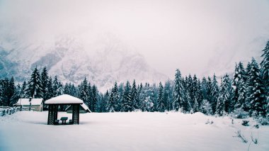 İtalyan Alpleri'nde kar yağışı