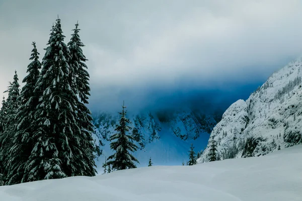 Tempête à Val Fiscalina — Photo