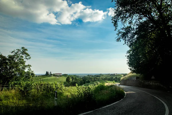 Sunset in the vineyards of Rosazzo — Stock Photo, Image