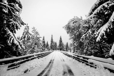 İtalyan Alpleri'nde kar yağışı