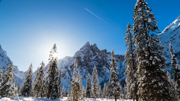 Solig morgon i Val Fiscalinas — Stockfoto