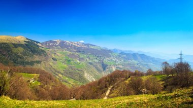 Bahar vadide geliyor