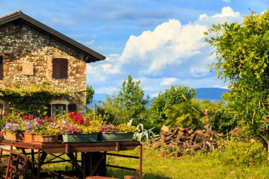 Çiçekli eski çiftlik