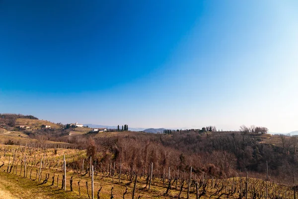 Manhã de inverno nas vinhas de Collio, Itália — Fotografia de Stock