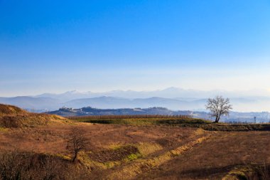 Gün batımı üzüm bağları Collio, İtalya