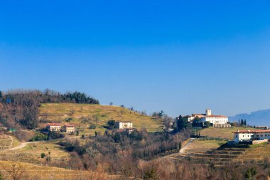 Kış sabah üzüm bağları Collio, İtalya