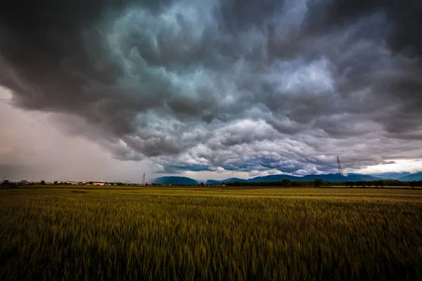 Storm over de velden — Stockfoto