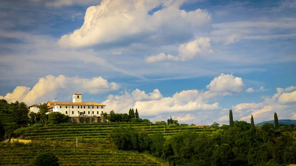 Sonnenuntergang in den Weinbergen von Rosazzo — Stockfoto