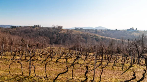 Manhã de inverno nas vinhas de Collio, Itália — Fotografia de Stock