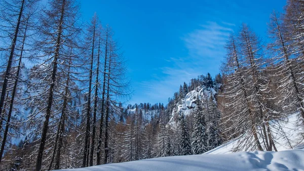 Zimowy dzień w Alpach z Friuli Venezia-Giulia Zdjęcia Stockowe bez tantiem