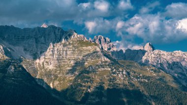 Julian Alpleri'ndeki Montasio grubu