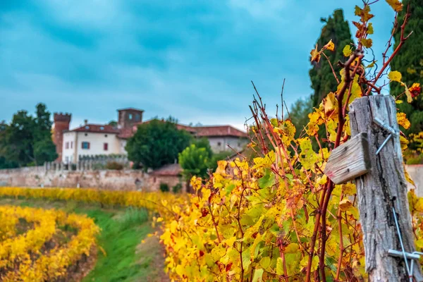 Autumn sunset in the vineyards of Collio Friulano — Stock Photo, Image