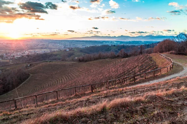 Pôr-do-sol colorido nas vinhas italianas — Fotografia de Stock