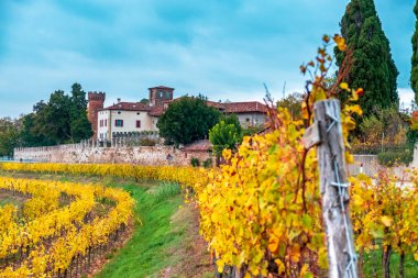 Collio Friulano üzüm bağlarında sonbahar günbatımı