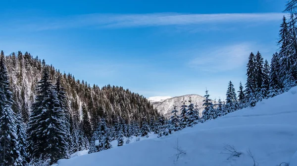 Día de invierno en los Alpes de Friuli Venecia-Julia — Foto de Stock